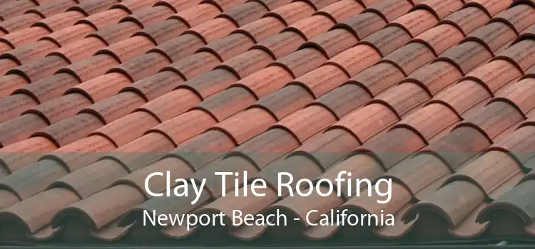 Clay Tile Roofing Newport Beach - California