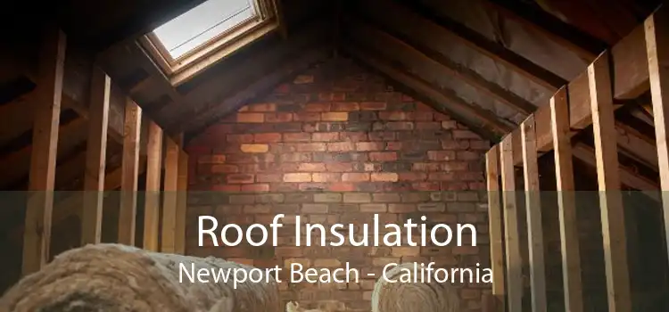 Roof Insulation Newport Beach - California