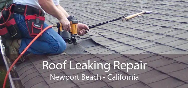 Roof Leaking Repair Newport Beach - California